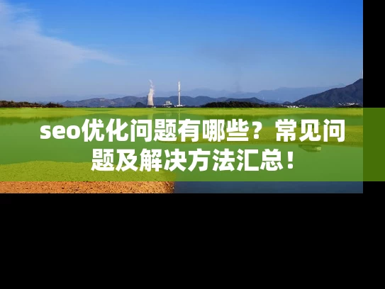 seo优化问题有哪些？常见问题及解决方法汇总！