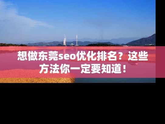 想做东莞seo优化排名？这些方法你一定要知道！