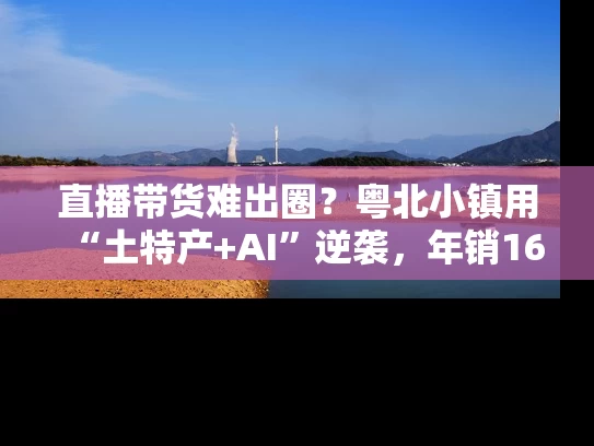 直播带货难出圈？粤北小镇用“土特产+AI”逆袭，年销16亿！