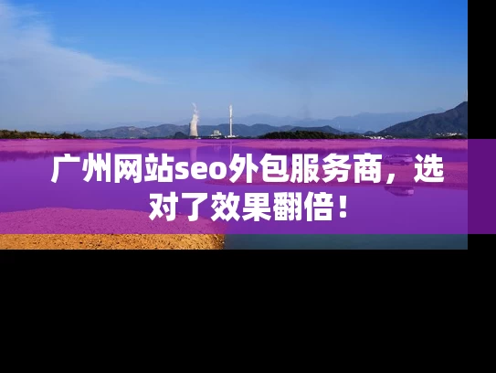 广州网站seo外包服务商，选对了效果翻倍！