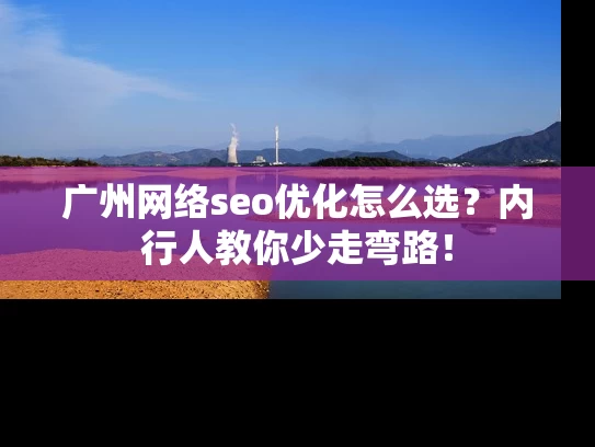 广州网络seo优化怎么选？内行人教你少走弯路！