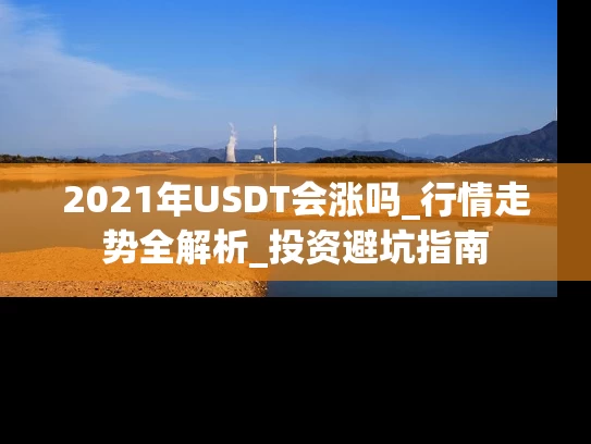 2021年USDT会涨吗_行情走势全解析_投资避坑指南