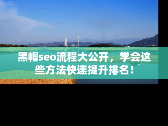 黑帽seo流程大公开，学会这些方法快速提升排名！