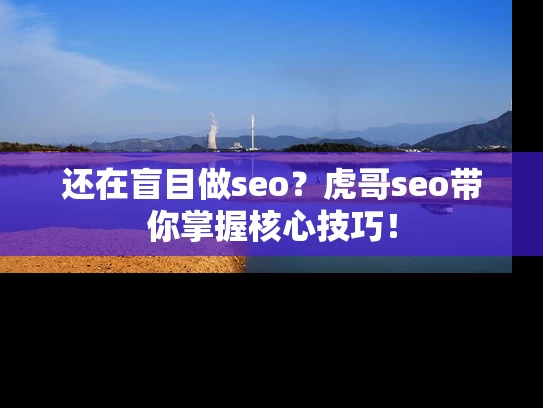 还在盲目做seo？虎哥seo带你掌握核心技巧！