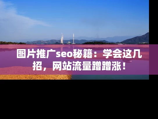 图片推广seo秘籍：学会这几招，网站流量蹭蹭涨！