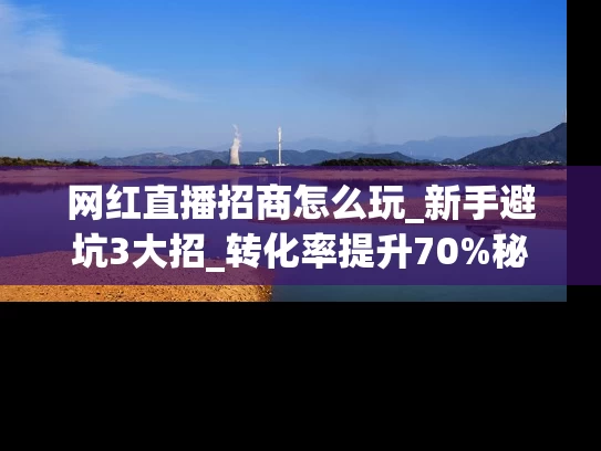 网红直播招商怎么玩_新手避坑3大招_转化率提升70%秘籍