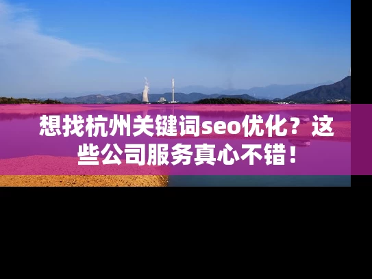 想找杭州关键词seo优化？这些公司服务真心不错！