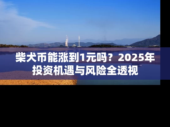 柴犬币能涨到1元吗？2025年投资机遇与风险全透视