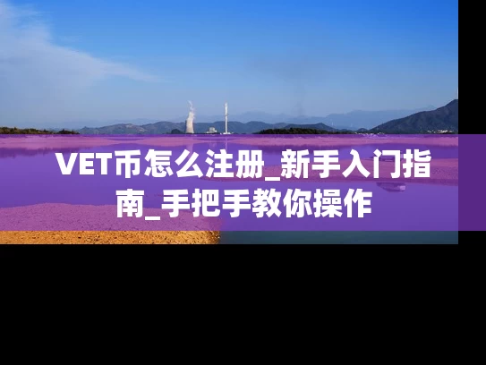 VET币怎么注册_新手入门指南_手把手教你操作