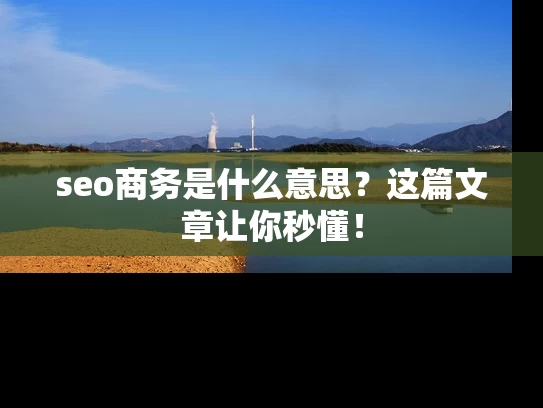 seo商务是什么意思？这篇文章让你秒懂！