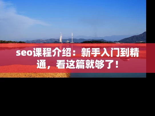 seo课程介绍：新手入门到精通，看这篇就够了！