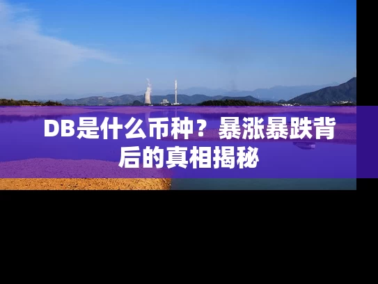 DB是什么币种？暴涨暴跌背后的真相揭秘