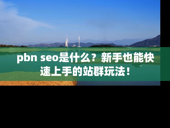 pbn seo是什么？新手也能快速上手的站群玩法！