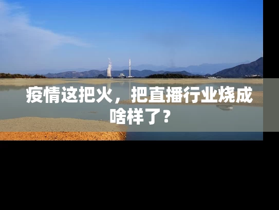 疫情这把火，把直播行业烧成啥样了？
