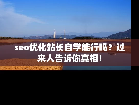 seo优化站长自学能行吗？过来人告诉你真相！