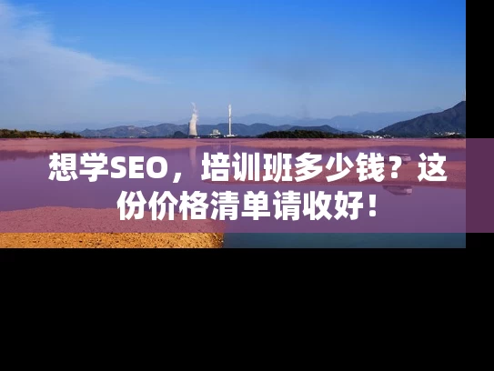 想学SEO，培训班多少钱？这份价格清单请收好！