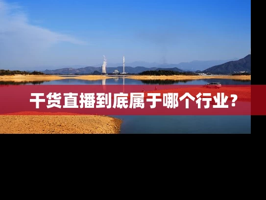 干货直播到底属于哪个行业？