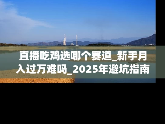 直播吃鸡选哪个赛道_新手月入过万难吗_2025年避坑指南