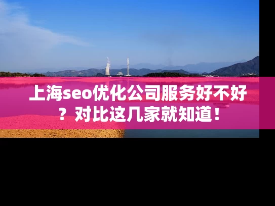 上海seo优化公司服务好不好？对比这几家就知道！