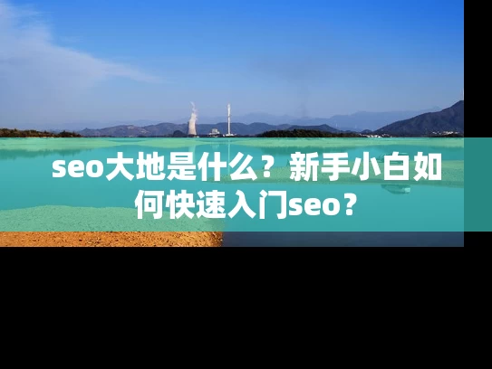 seo大地是什么？新手小白如何快速入门seo？