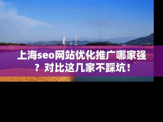 上海seo网站优化推广哪家强？对比这几家不踩坑！