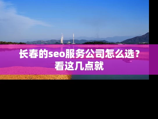 长春的seo服务公司怎么选？看这几点就