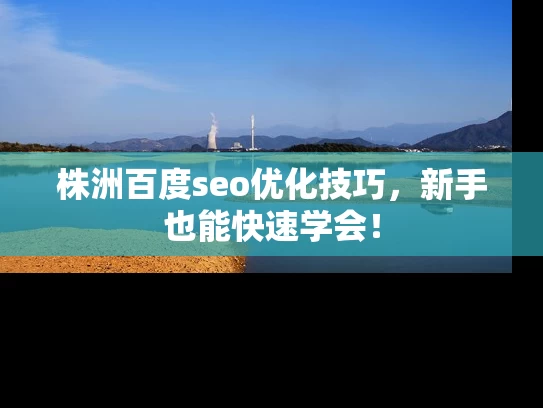 株洲百度seo优化技巧，新手也能快速学会！