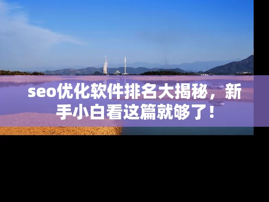 seo优化软件排名大揭秘，新手小白看这篇就够了！