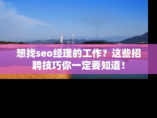 想找seo经理的工作？这些招聘技巧你一定要知道！