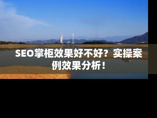 SEO掌柜效果好不好？实操案例效果分析！