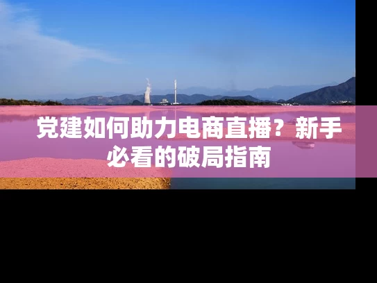 党建如何助力电商直播？新手必看的破局指南
