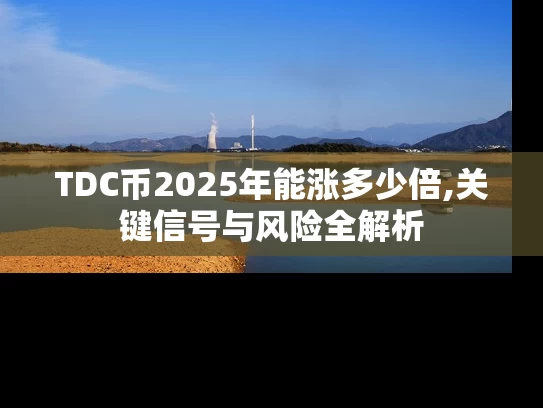 TDC币2025年能涨多少倍,关键信号与风险全解析