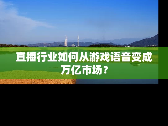 直播行业如何从游戏语音变成万亿市场？