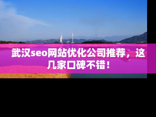 武汉seo网站优化公司推荐，这几家口碑不错！