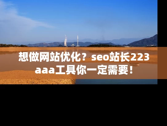 想做网站优化？seo站长223aaa工具你一定需要！