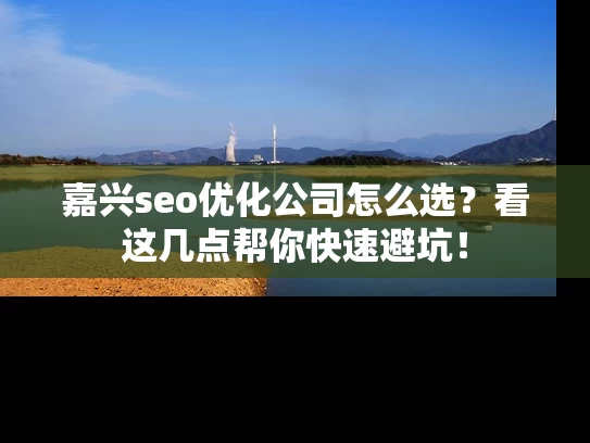 嘉兴seo优化公司怎么选？看这几点帮你快速避坑！