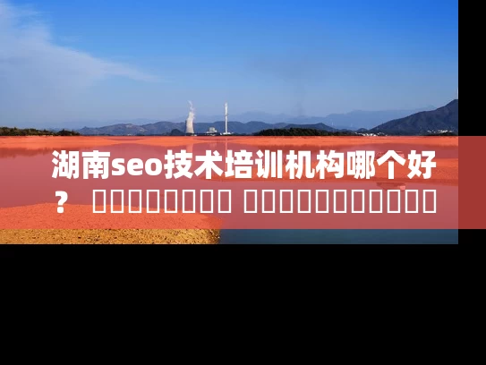 湖南seo技术培训机构哪个好？ প্রাক্তন শিক্ষার্থীরা আপনাকে পরামর্শ দেবে！