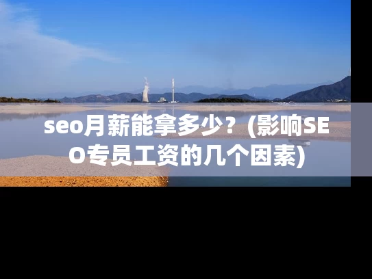seo月薪能拿多少？(影响SEO专员工资的几个因素)