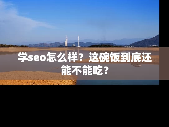 学seo怎么样？这碗饭到底还能不能吃？