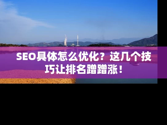 SEO具体怎么优化？这几个技巧让排名蹭蹭涨！