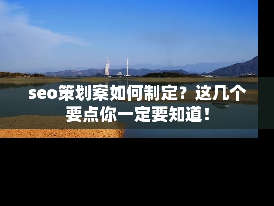 seo策划案如何制定？这几个要点你一定要知道！