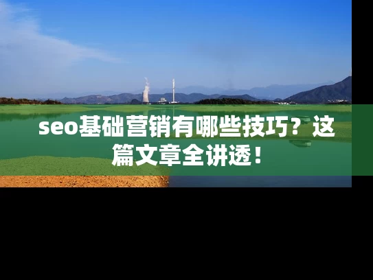 seo基础营销有哪些技巧？这篇文章全讲透！