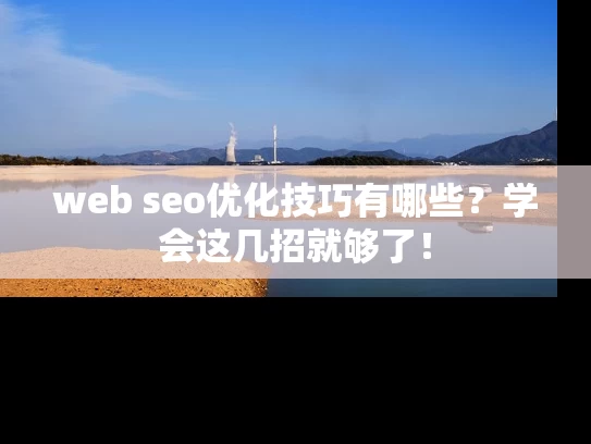 web seo优化技巧有哪些？学会这几招就够了！