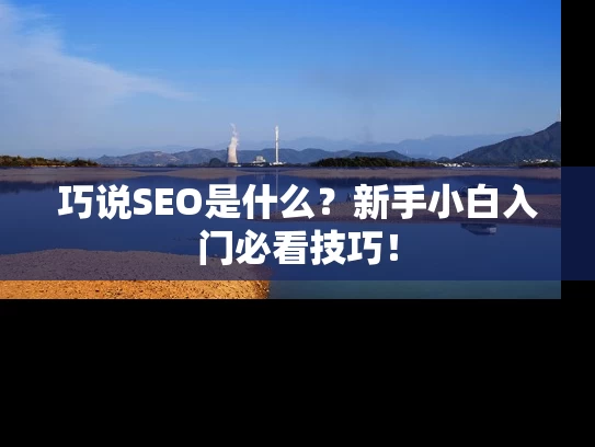 巧说SEO是什么？新手小白入门必看技巧！