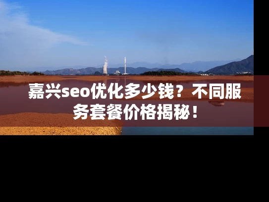 嘉兴seo优化多少钱？不同服务套餐价格揭秘！