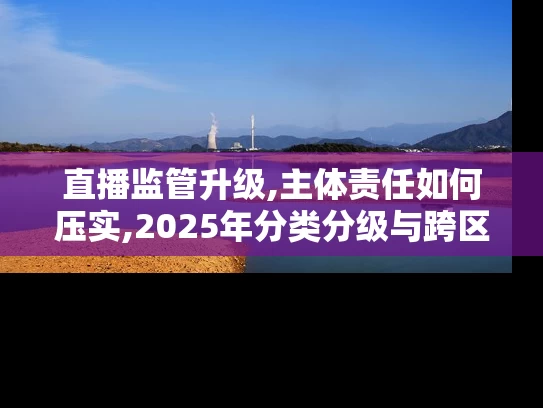 直播监管升级,主体责任如何压实,2025年分类分级与跨区协同新规