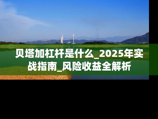 贝塔加杠杆是什么_2025年实战指南_风险收益全解析