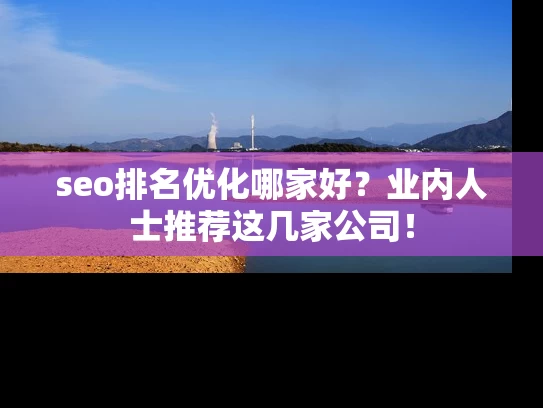 seo排名优化哪家好？业内人士推荐这几家公司！