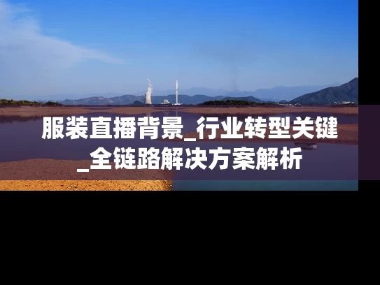 服装直播背景_行业转型关键_全链路解决方案解析