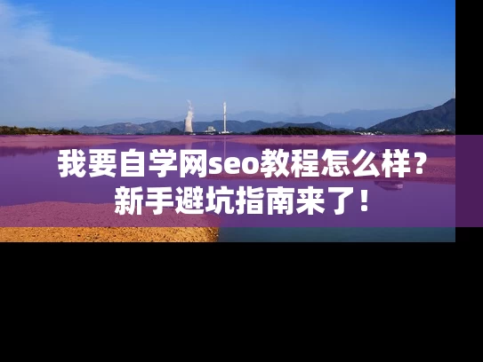 我要自学网seo教程怎么样？新手避坑指南来了！